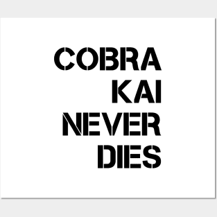 Cobra Kai Never Dies Posters and Art